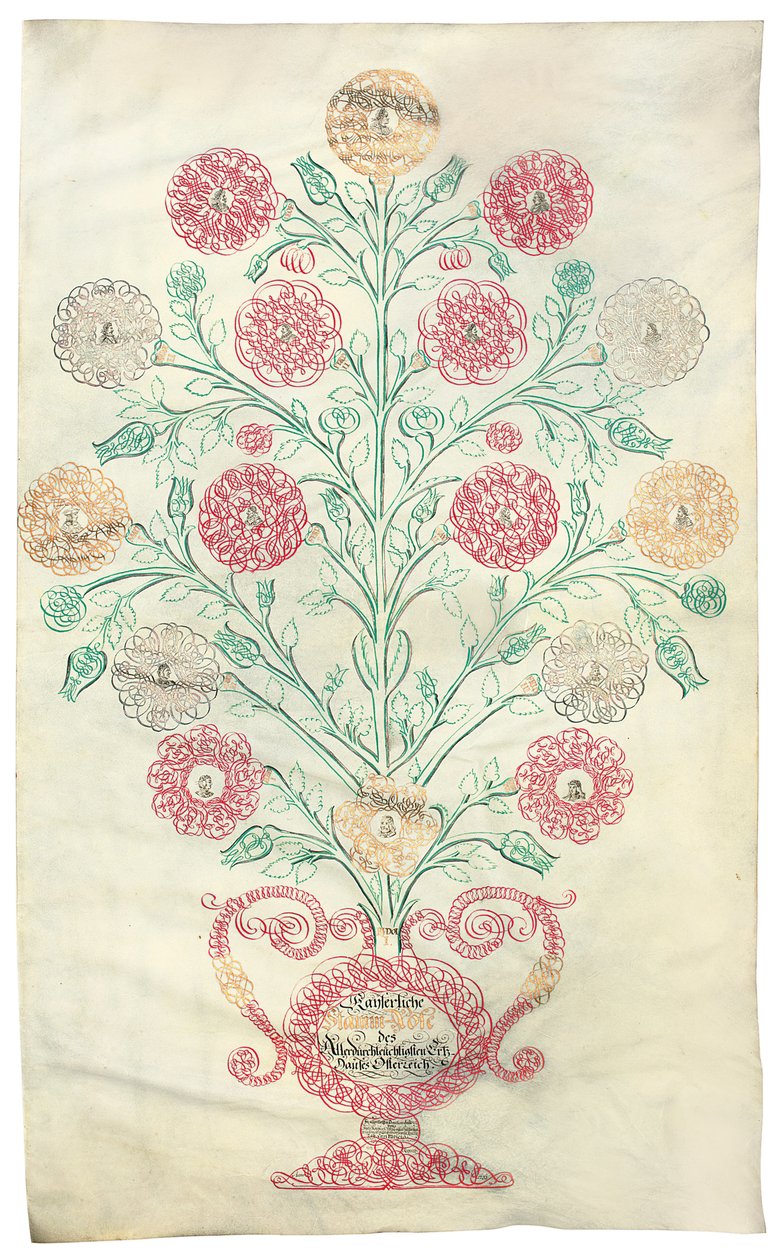 "Die Rose", ein Stammbaum, präsentiert an Kaiser Karl VI., 1731 von Johann Carl Paricius