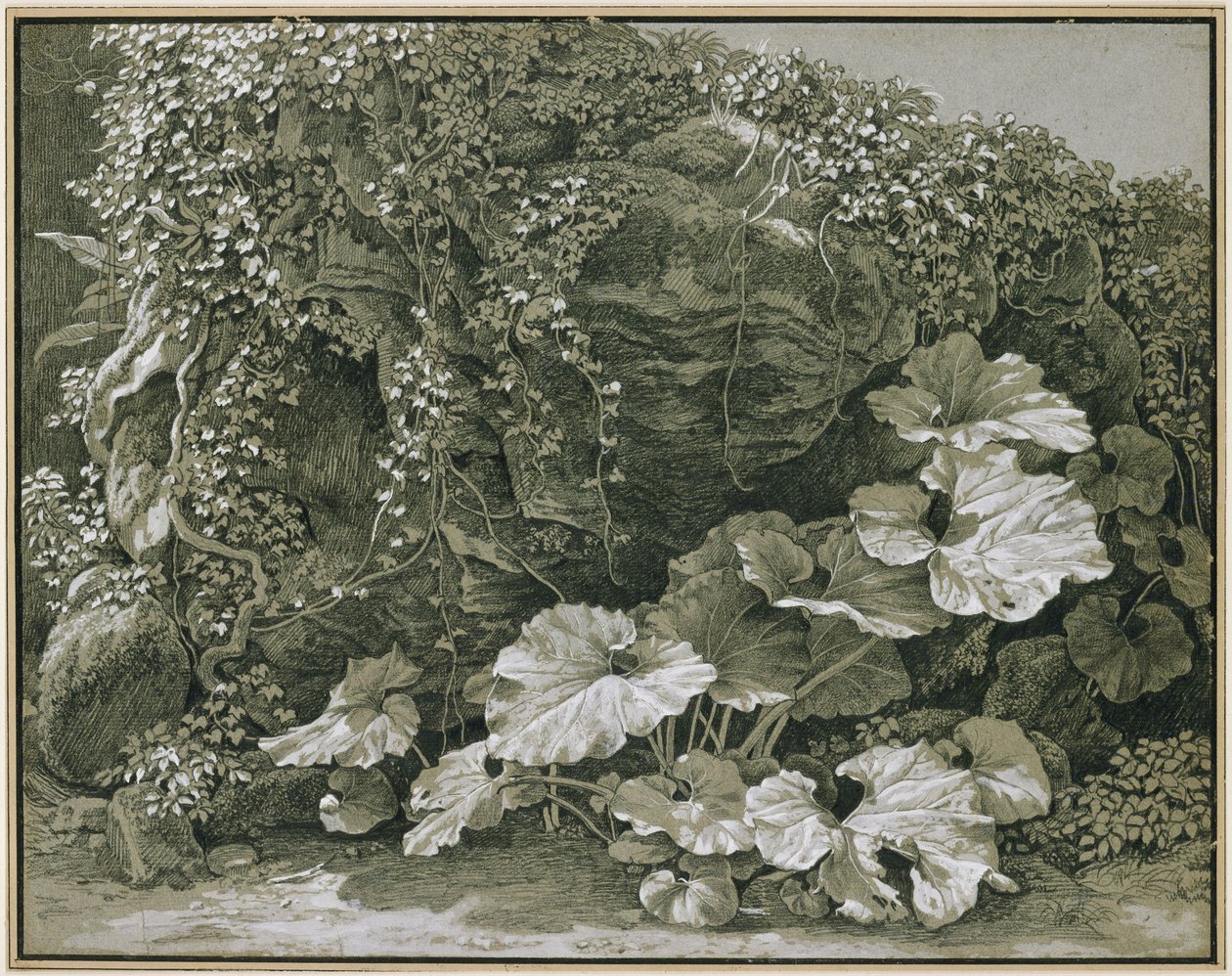 Große Blattpflanzen an efeuumrankter Felsgrotte von Johann Christian Reinhart