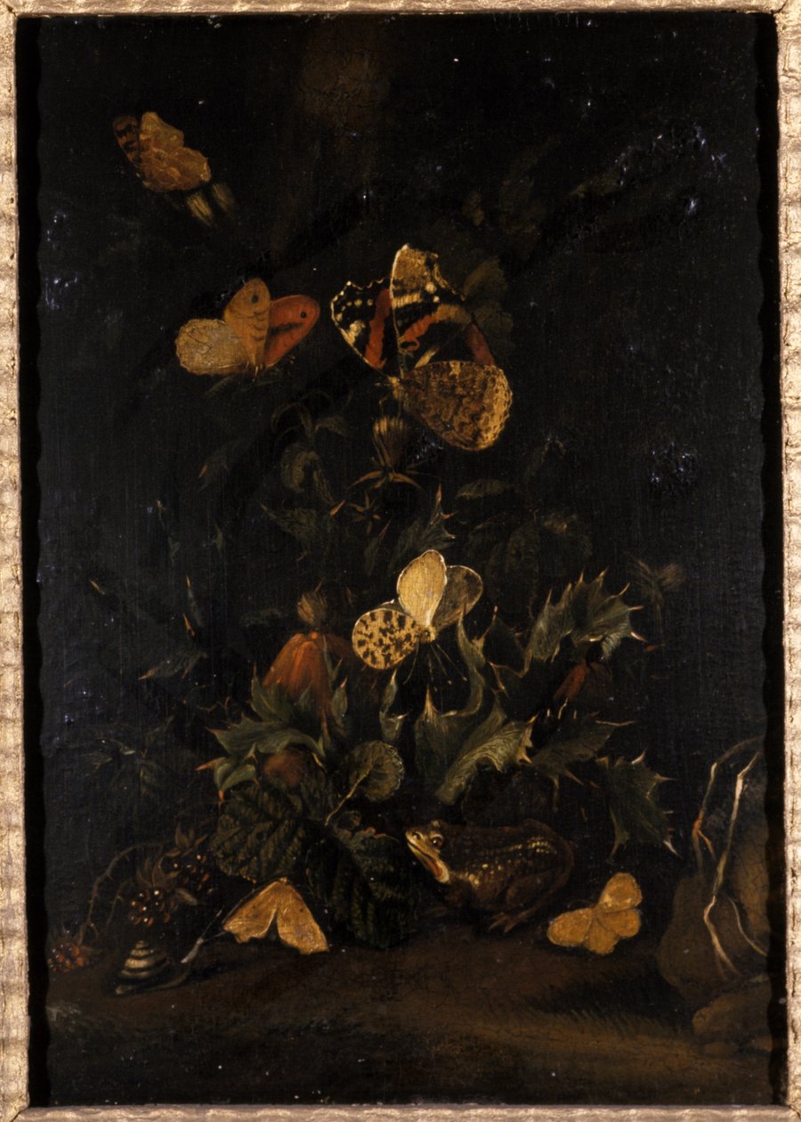 Blumen mit Schmetterlingen und Kröte von Johann Christian Thomas Winck