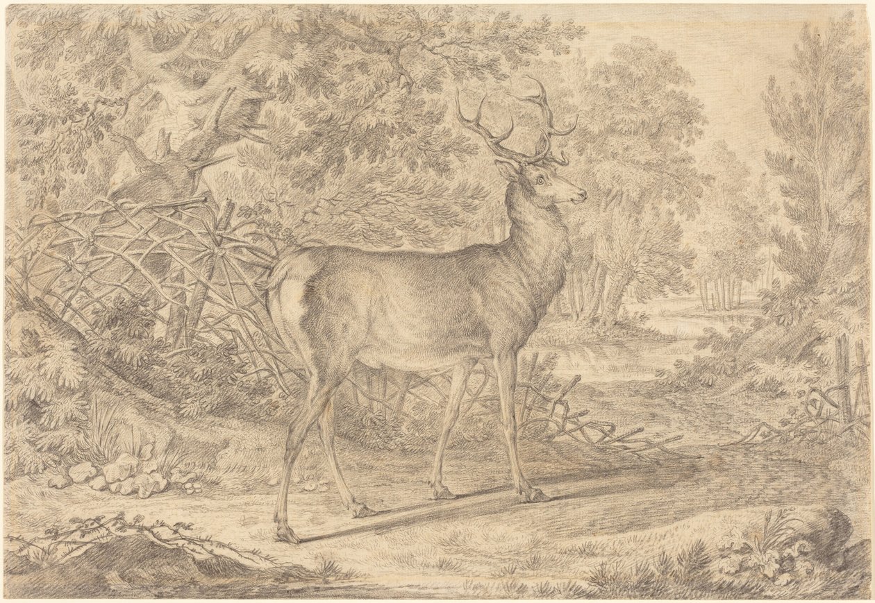 Ein prächtiger junger Hirsch vor einem Flechtzaun von Johann Elias Ridinger
