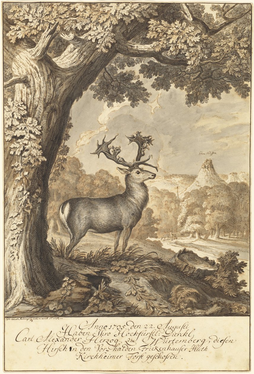 Ein Hirsch unter einer mächtigen Eiche von Johann Elias Ridinger