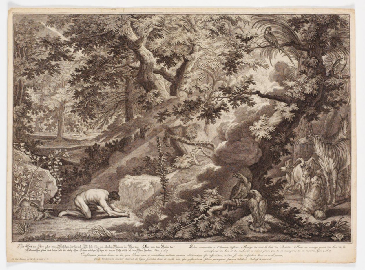 Gott verbietet Adam, vom Baum der Erkenntnis zu essen von Johann Elias Ridinger
