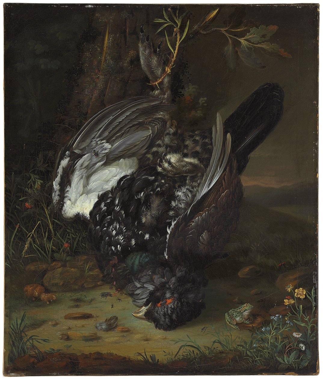 Ein Auerhahn in einer bewaldeten Landschaft, 1747 von Johann Friedrich von Grooth