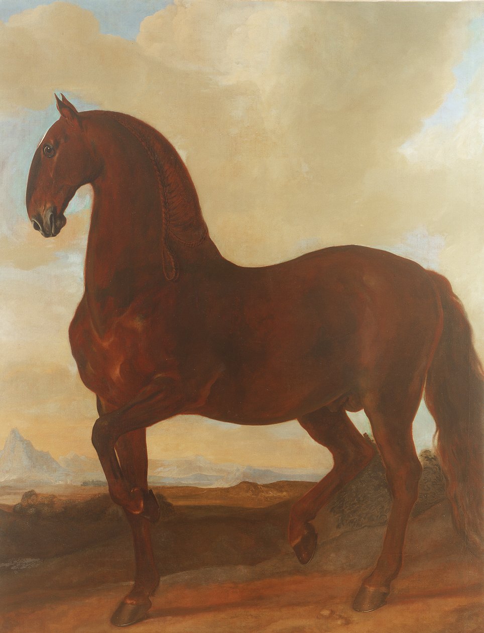 Der Braune Hengst im Eisgruber Gestüt von Johann Georg Hamilton