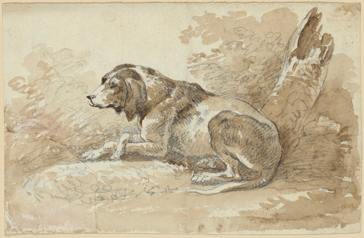 Zwei Hundestudien von Johann Georg von Dillis