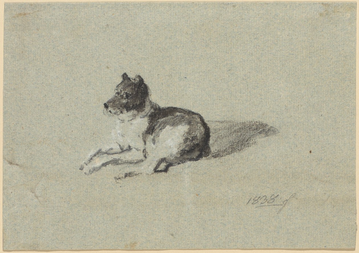 Zwei Hundestudien von Johann Georg von Dillis