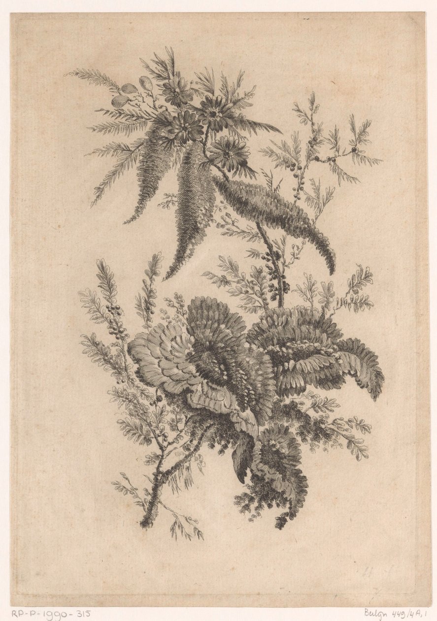 Wilde rosenartige von Johann Heinrich  Hess