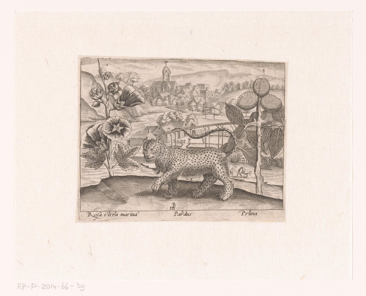 Serie von Drucken mit Blumen und Tieren in einer Landschaft von Johann Hogenberg