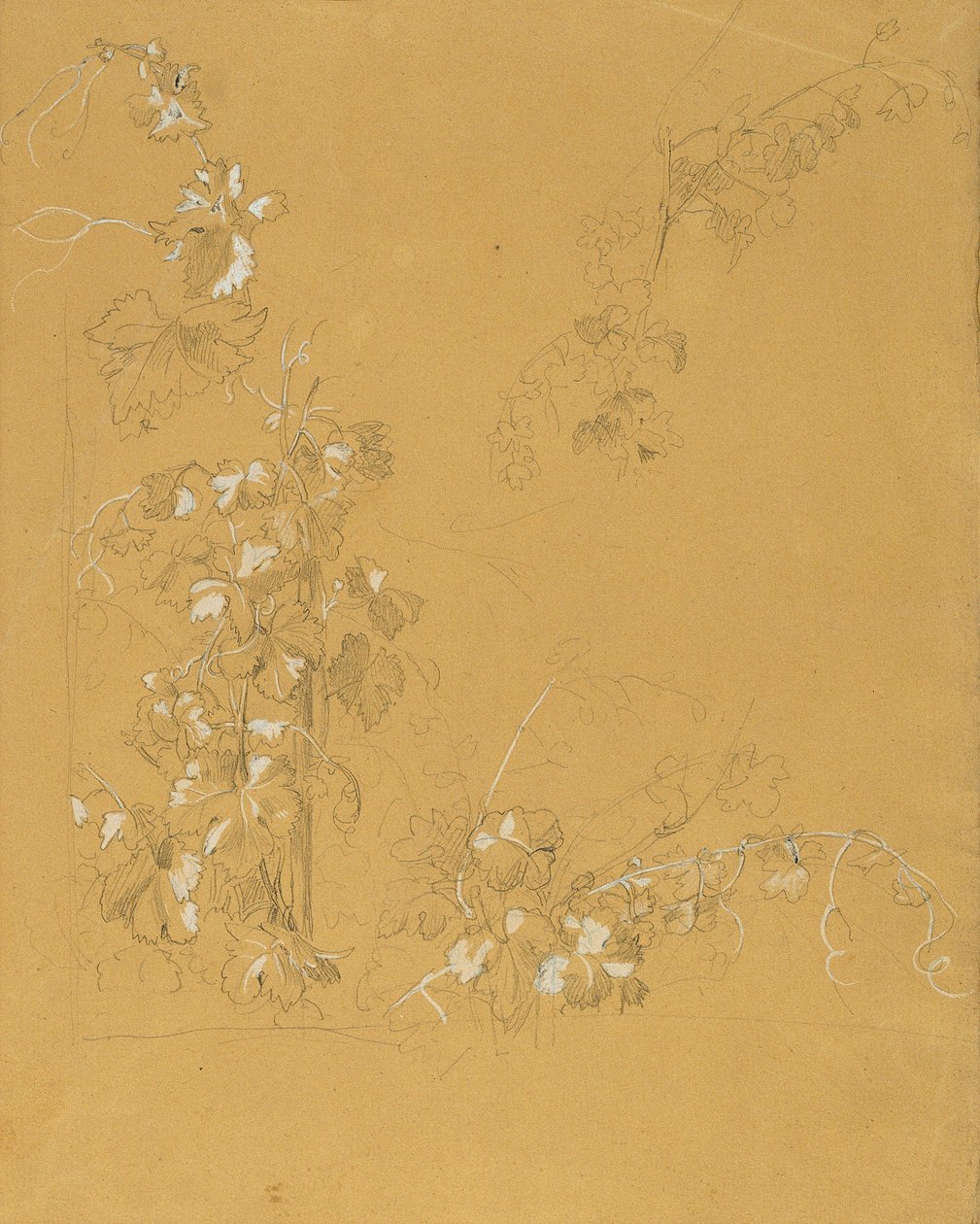 Weinstock, Studie zu "Hermann und Dorothea im Weinberg" von Johann Peter Krafft
