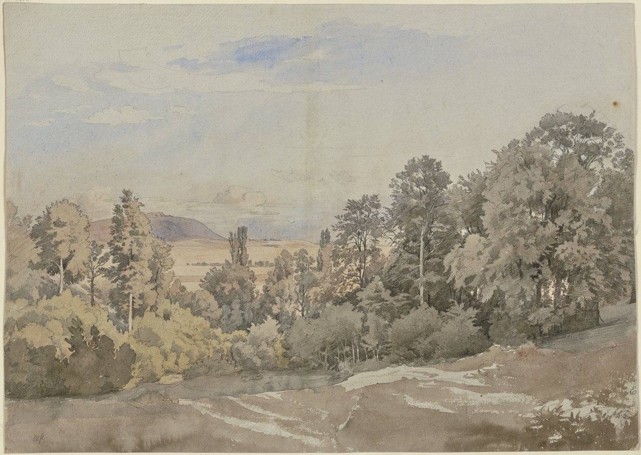 Wald mit Fernblick von Johann Wilhelm Schirmer