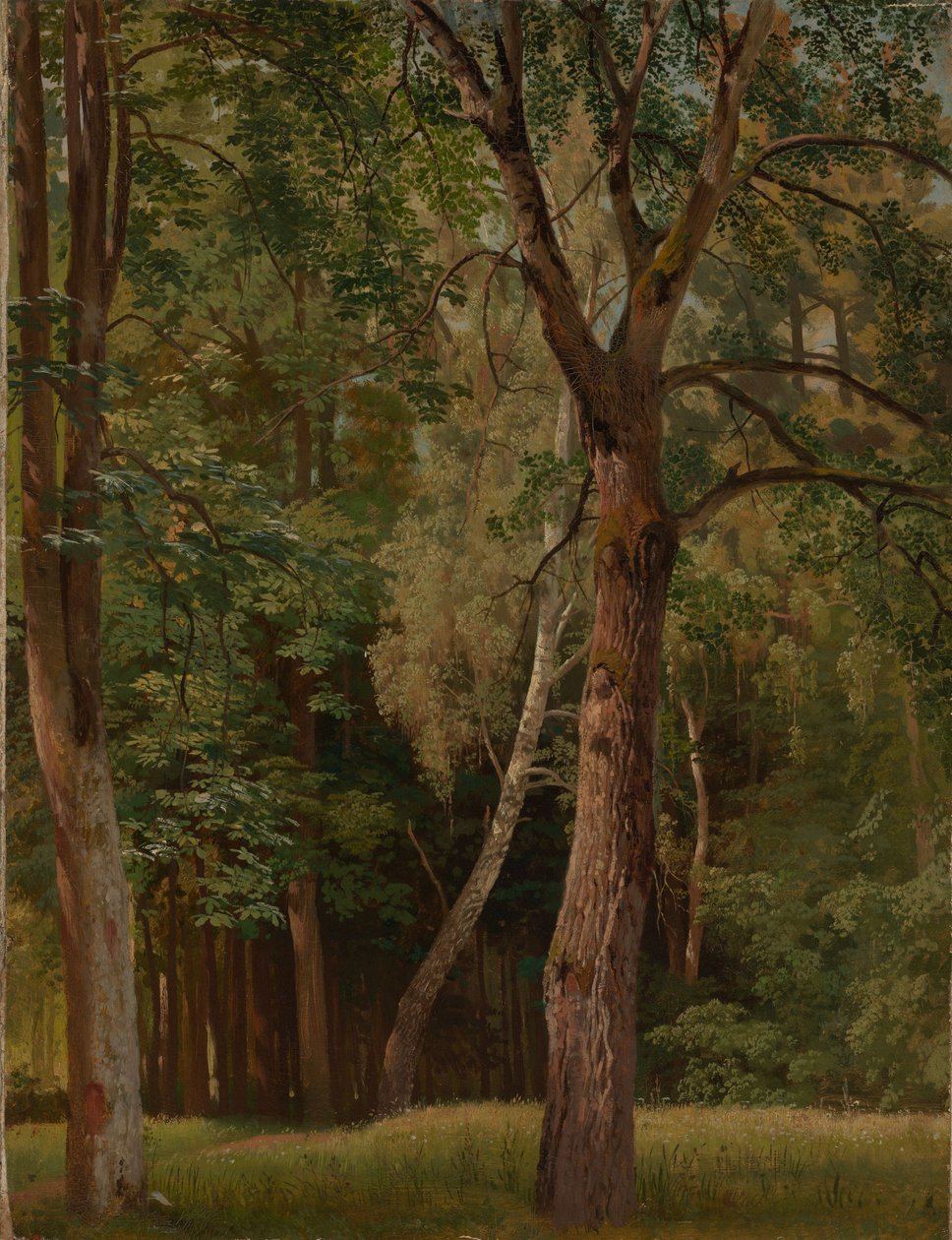 Laubwald mit Kastanien und Birken von Johann Wilhelm Schirmer