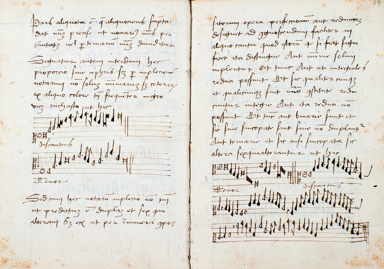 Seite aus einem Musiktheoriebuch von Johannes Tinctoris von Johannes (c.1435 1511) Tinctoris