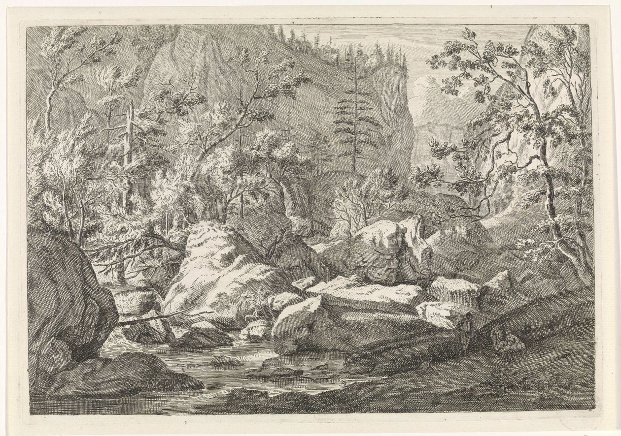 Schlucht mit Felsbrocken und Bäumen (Landschaften im Chartreuse-Gebirge) von Johannes Glauber