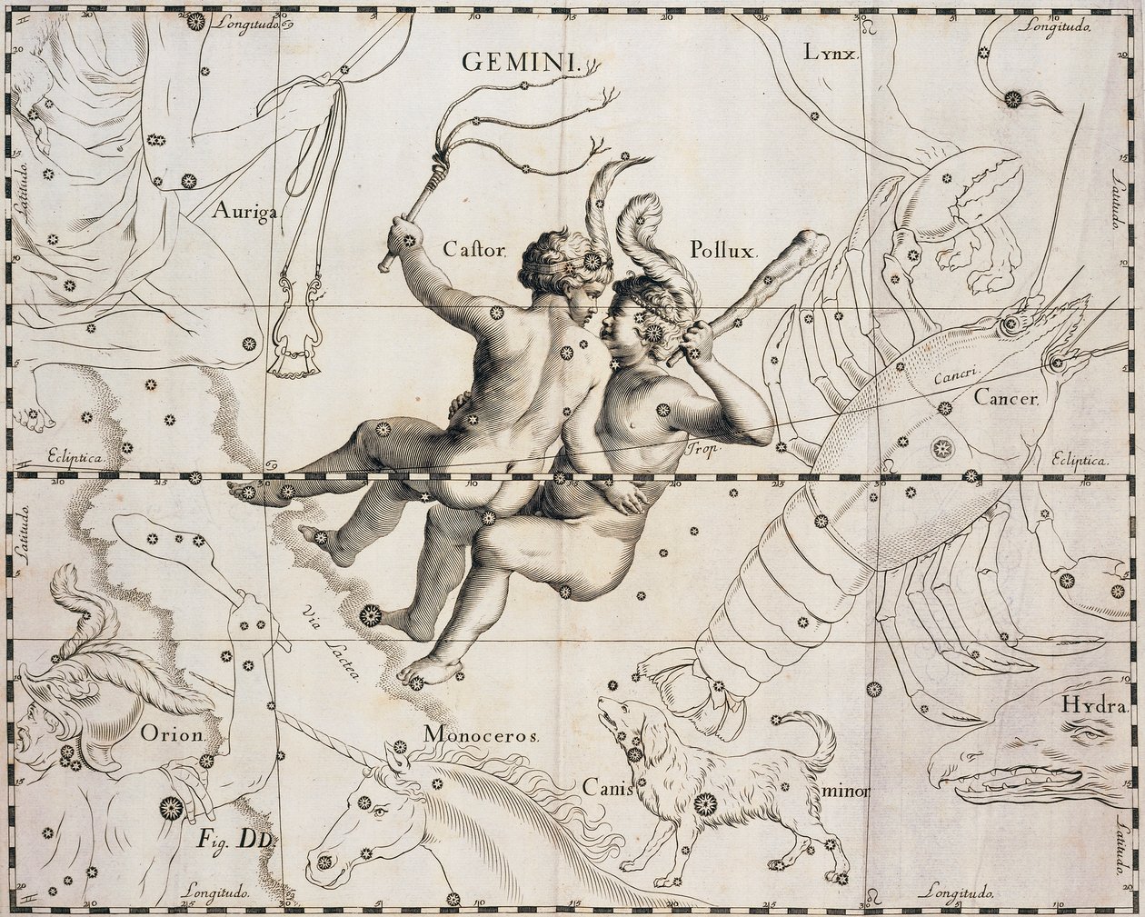 Das Sternbild Zwillinge, Illustration aus Firmamentum Sobiescianum sive Uranographia, von Johann Hevelius (1611-1687), Danzig 1690 von Johannes Hevelius