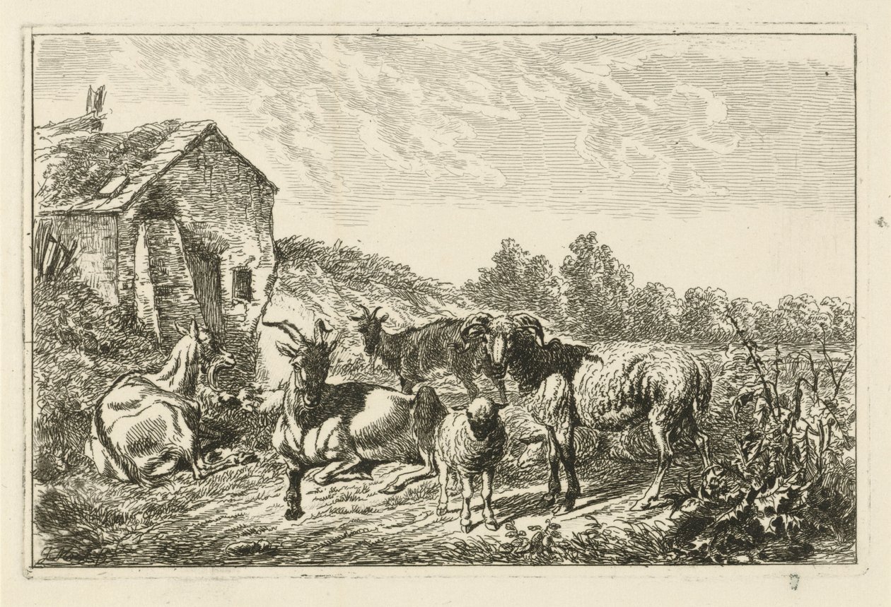 Vier Ziegen und ein Schaf bei einem Haus von Johannes Mock