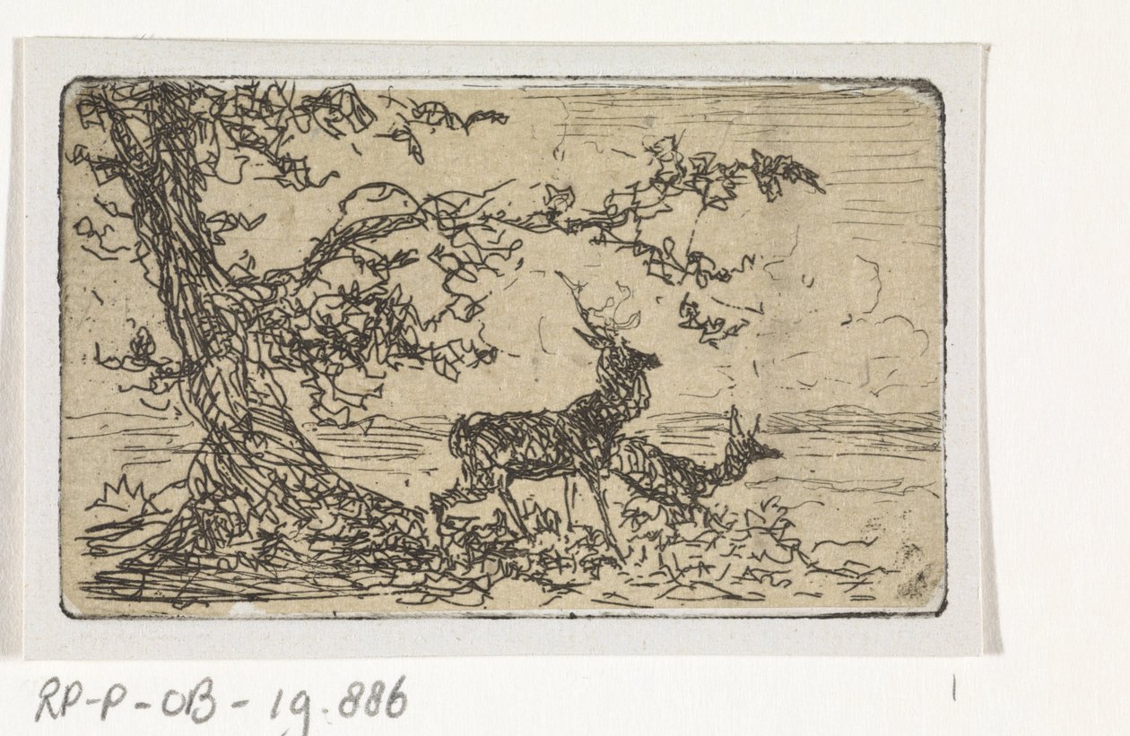 Zwei Hirsche unter einem Baum von Johannes Tavenraat