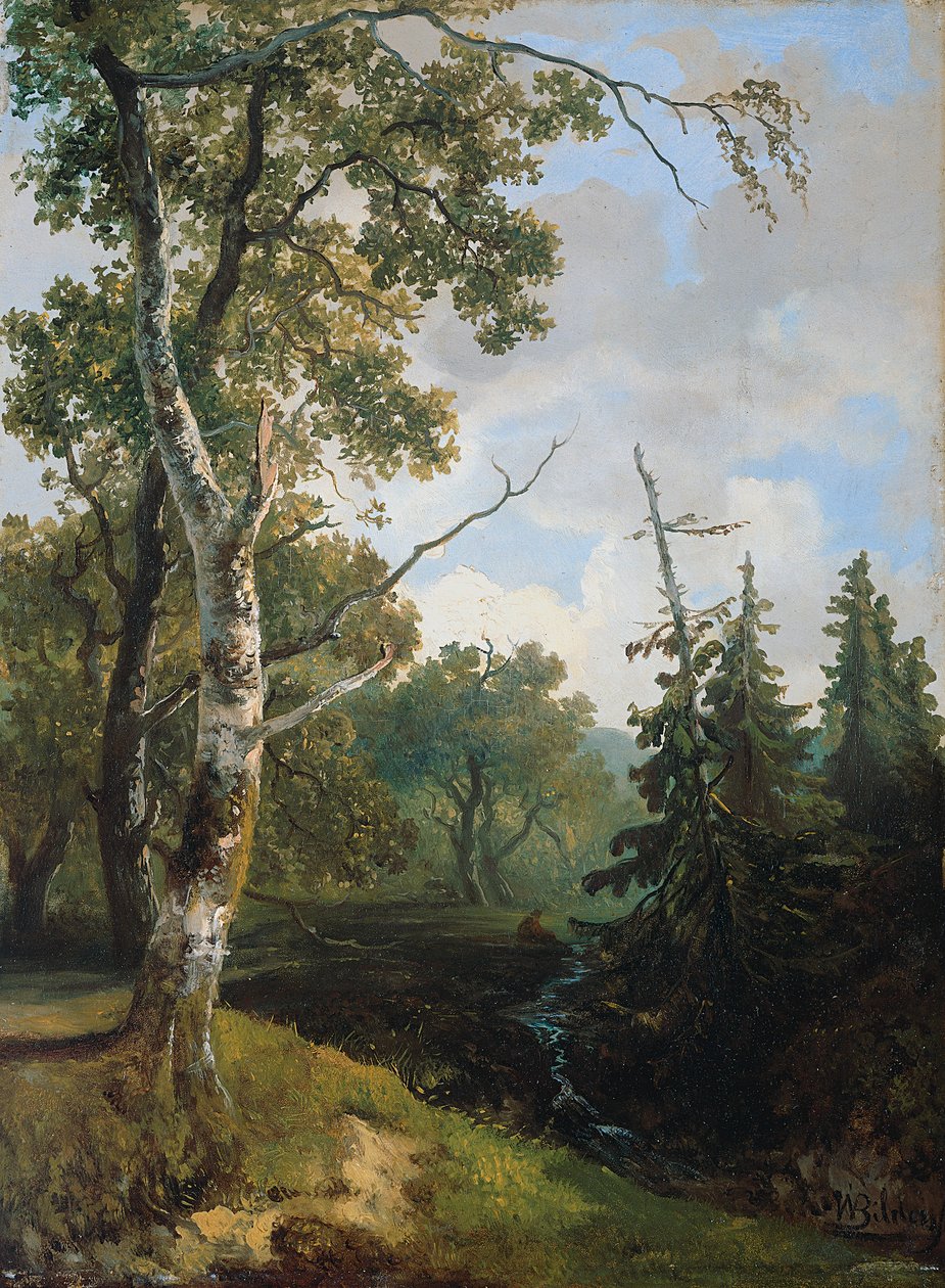 Waldansicht bei Wolfheze von Johannes Warnardus Bilders