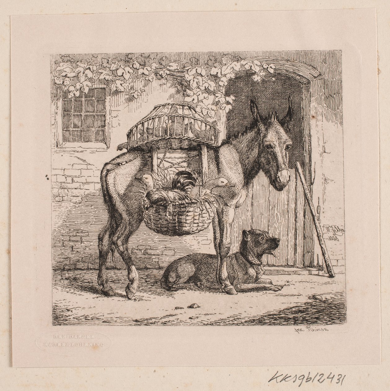 Der Esel des Hühnerhändlers von Johannes Wilhelm Zillen