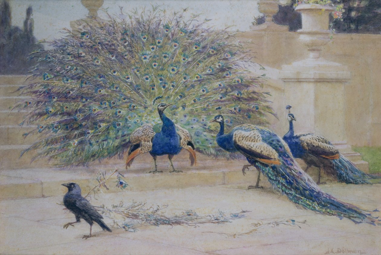 Die geliehene Feder von John Charles Dollman