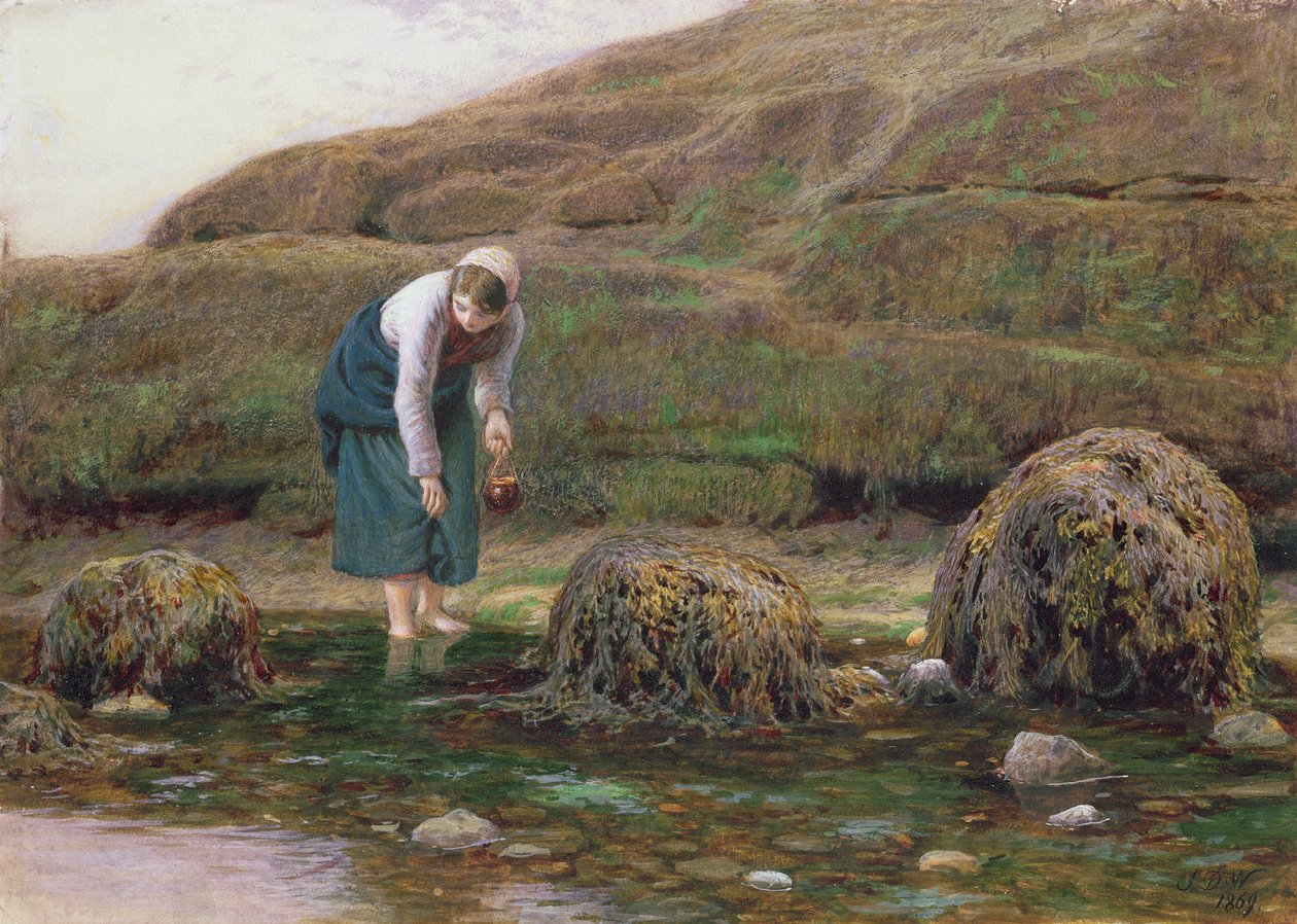 Die Sammlerin von Wellhornschnecken, 1869 von John Dawson Watson