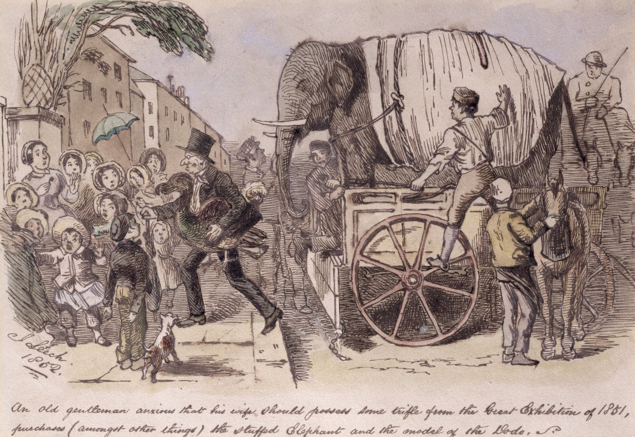 Ein alter Herr, der möchte, dass seine Frau ein Andenken von der Großen Ausstellung von 1851 besitzt, kauft (unter anderem) den ausgestopften Elefanten und das Modell des Dodos, gezeichnet für Punch von John Leech
