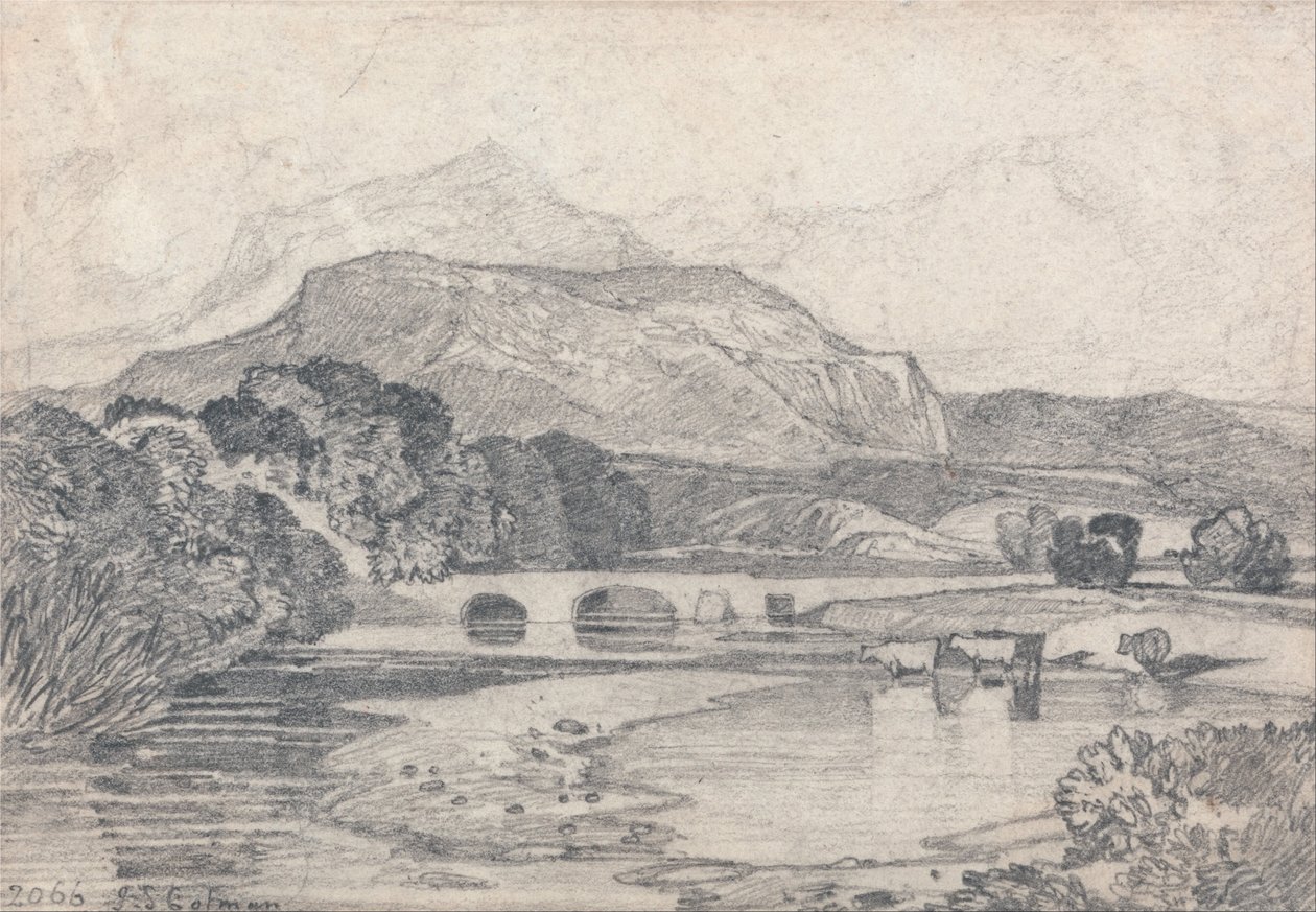 Tan-y-Bwlch, Nordwales von John Sell Cotman