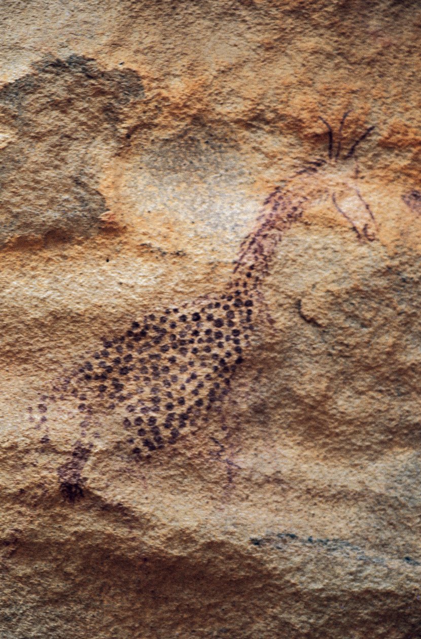 Giraffe, Höhlenmalerei, Pastorale Periode (4000-2500 v. Chr.), Tassili n