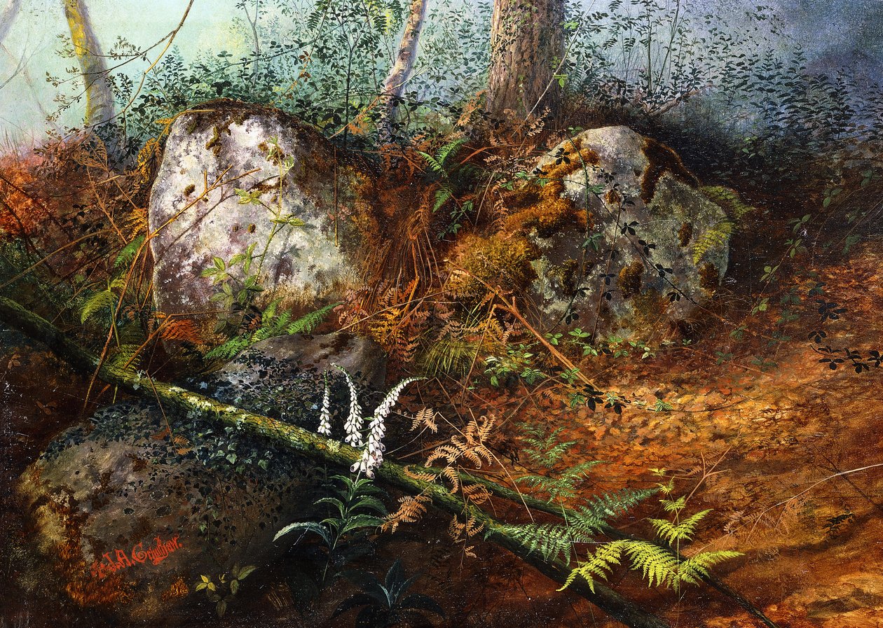 Newlay Wood von John Atkinson Grimshaw: Kunstdruck kaufen