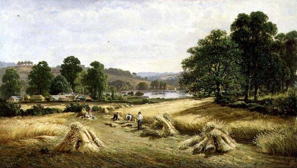 Ernte des goldenen Getreides bei Bishopsteignton, Plymouth von John Barrett