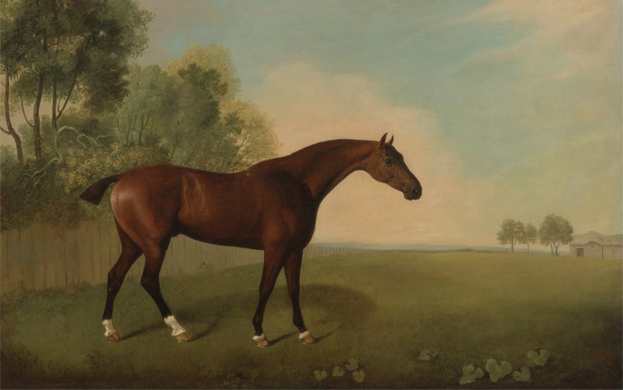 Ein braunes Pferd auf einer Wiese, 1778 von John Boultbee