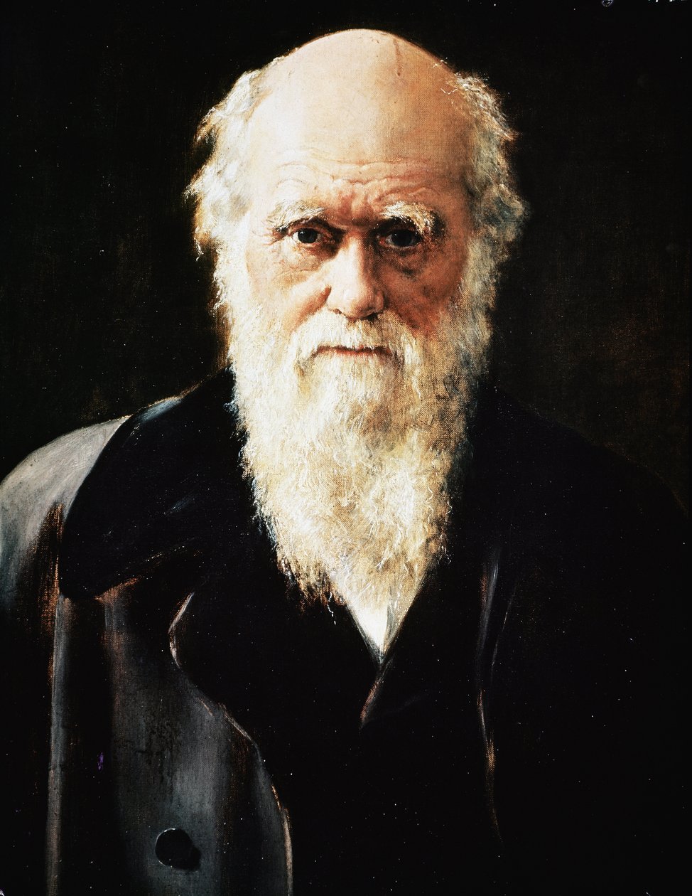 Porträt des englischen Naturforschers Charles Darwin (Detail) von John Collier