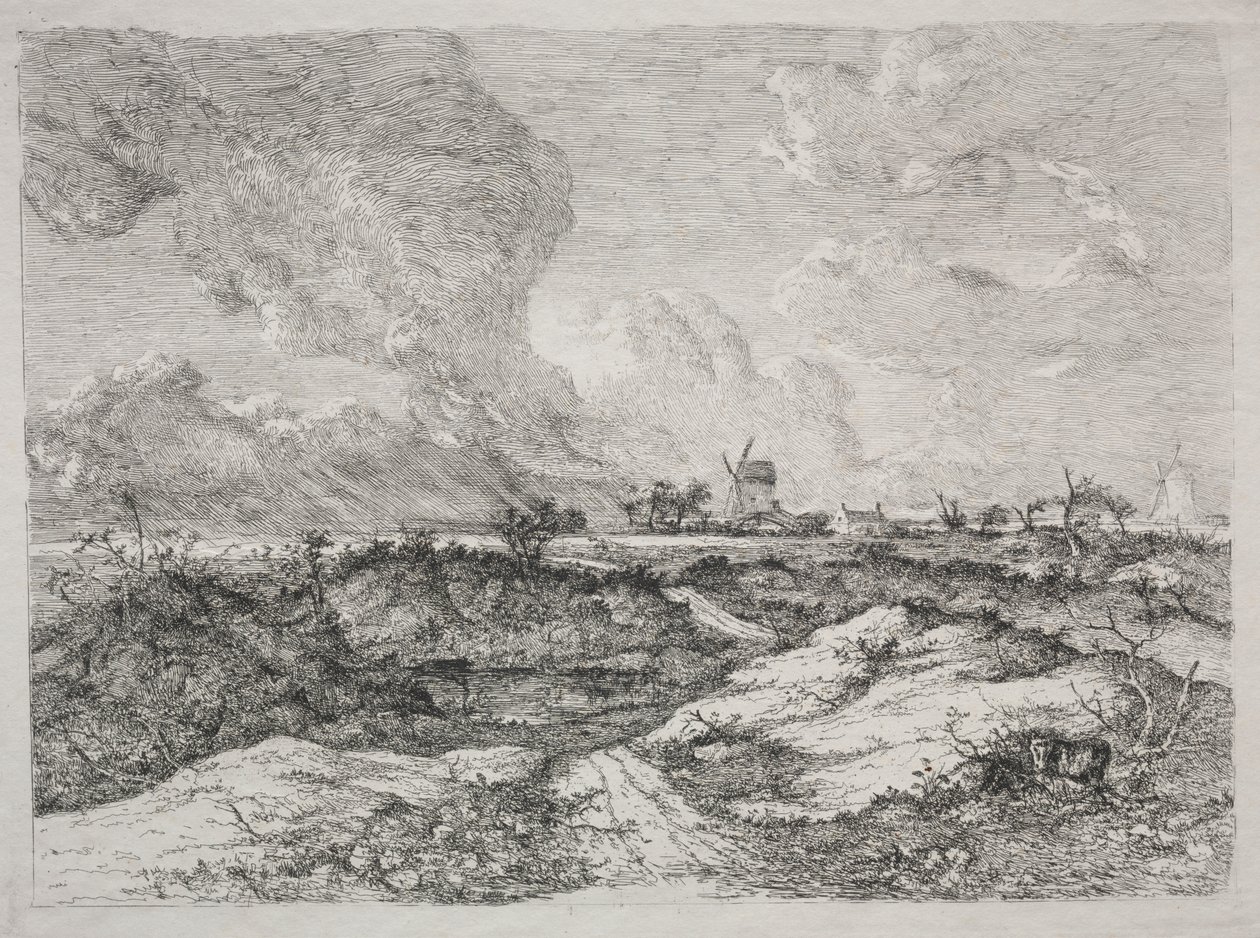 Mousehold Heath von John Crome