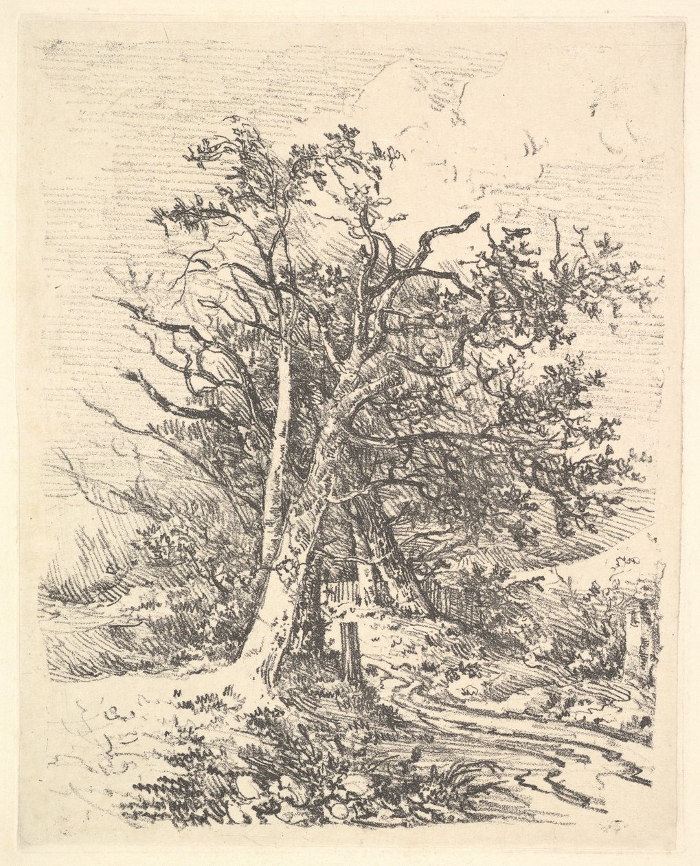 Baumstämme und Weg, 1811-13 von John Crome