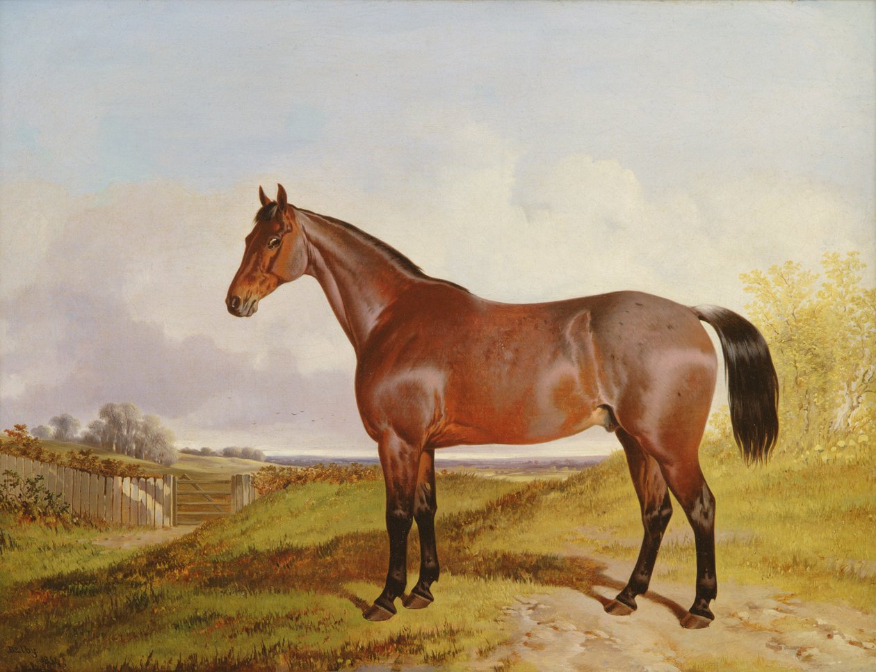 Studie eines braunen Jägers in einer Landschaft, 1854 von John Dalby