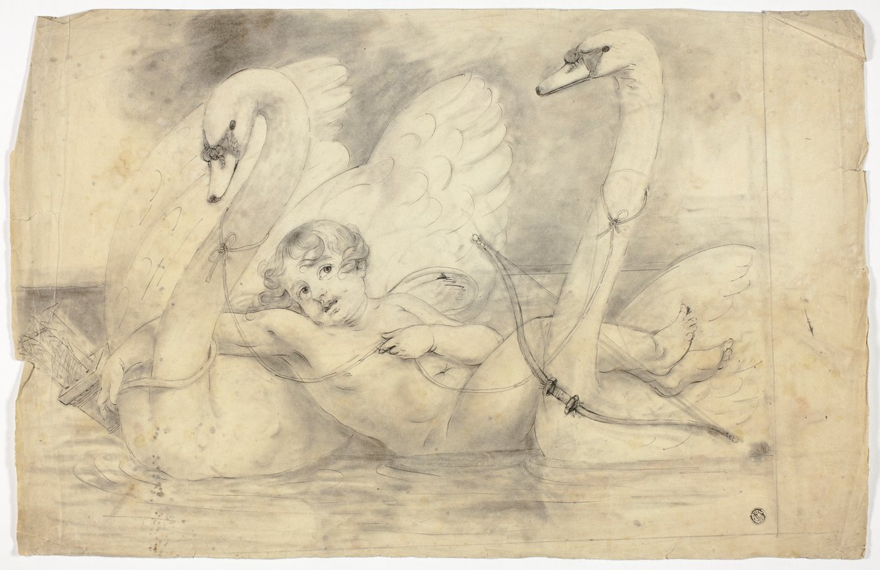 Amor und Schwäne von John Downman