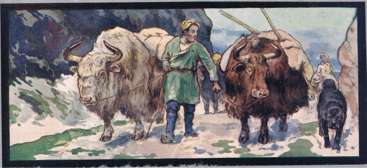 Bergyaks, Illustration aus 