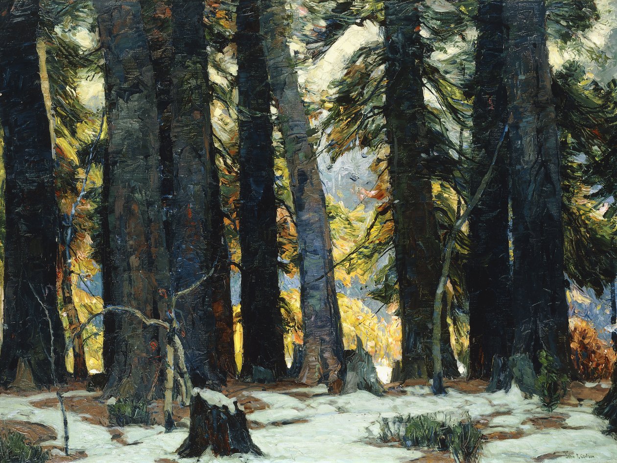 Das Heiligtum von John Fabian Carlson