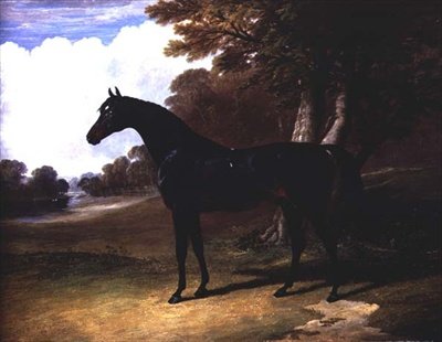 Gaucus, ein dunkelbraunes Pferd in einer Waldlandschaft von John Frederick Herring Senior