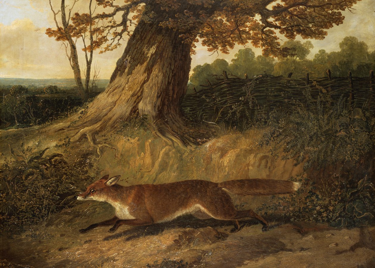 Unbekanntes Bild von John Frederick Herring Senior
