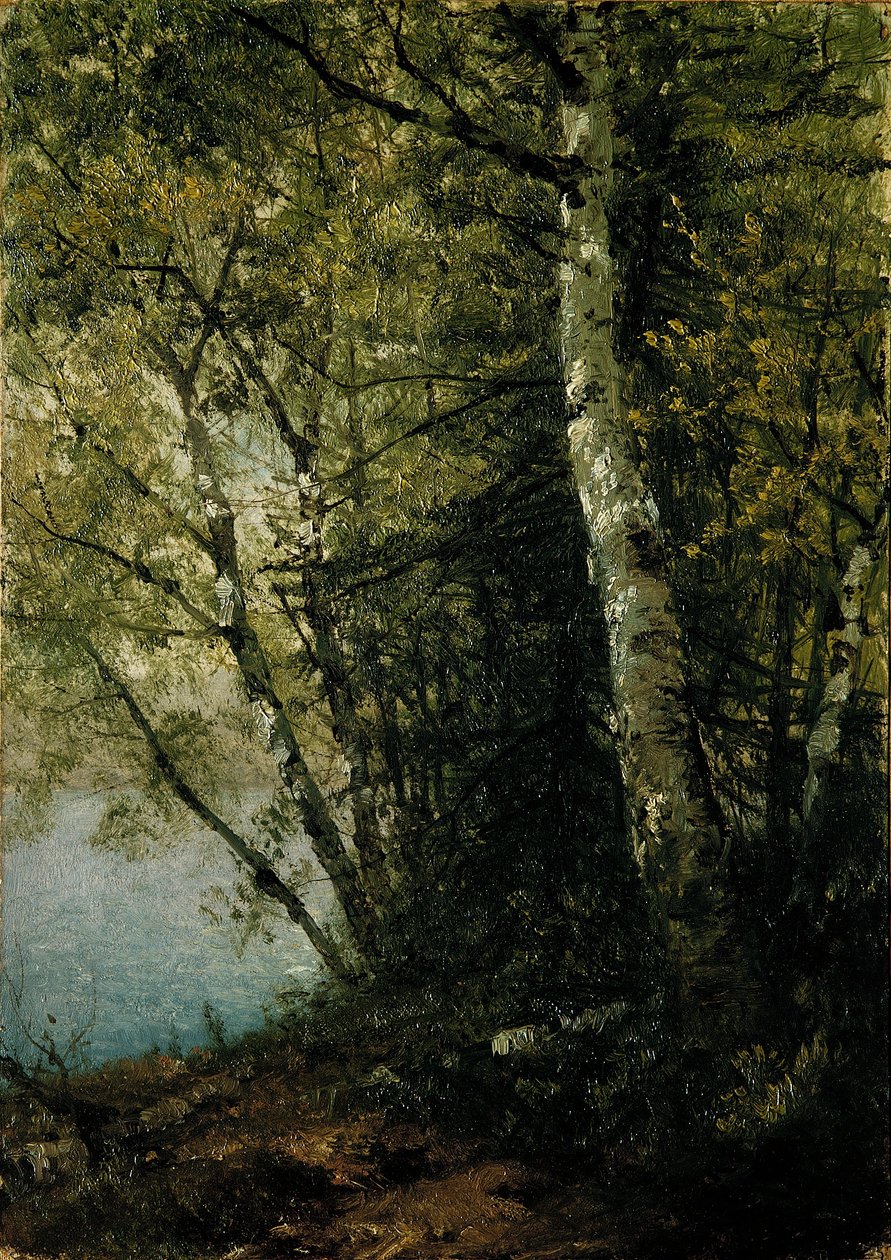 Studie von Buchen von John Frederick Kensett