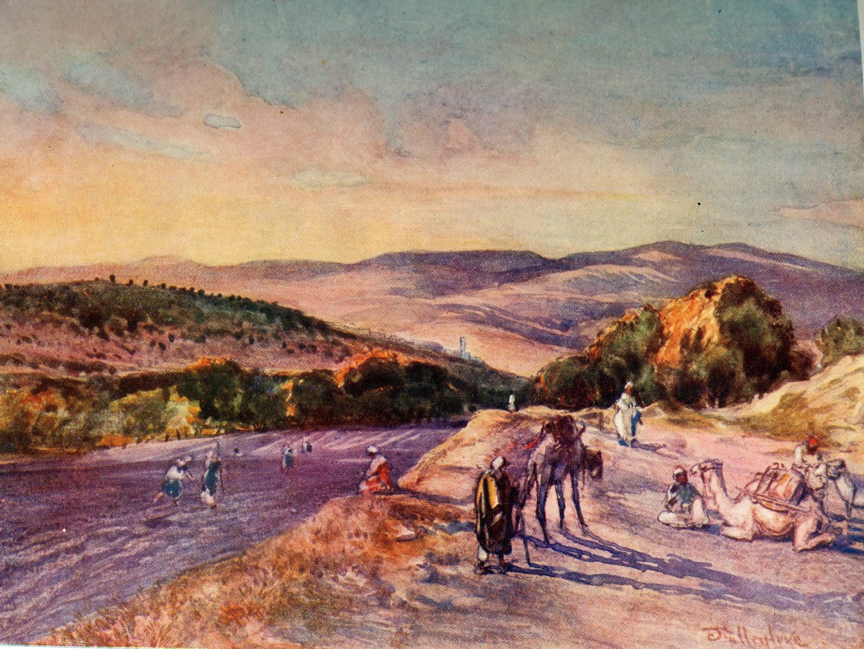 Stätte der antiken Stadt Samaria von John Fulleylove