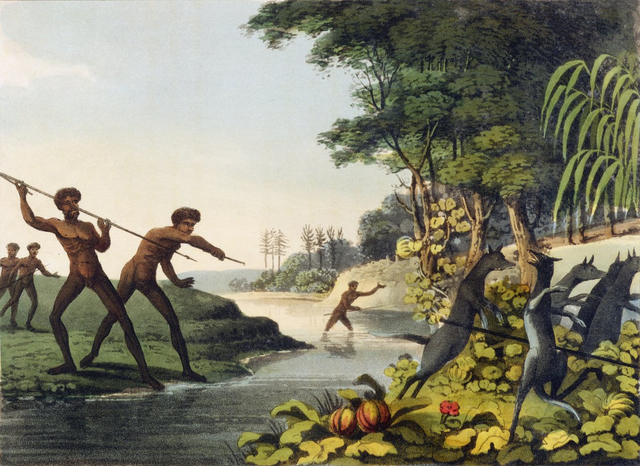 Kängurujagd, Aborigines in New South Wales, graviert von Matthew Dubourg (fl. 1813-1820) 1813 von John Heaviside Clark