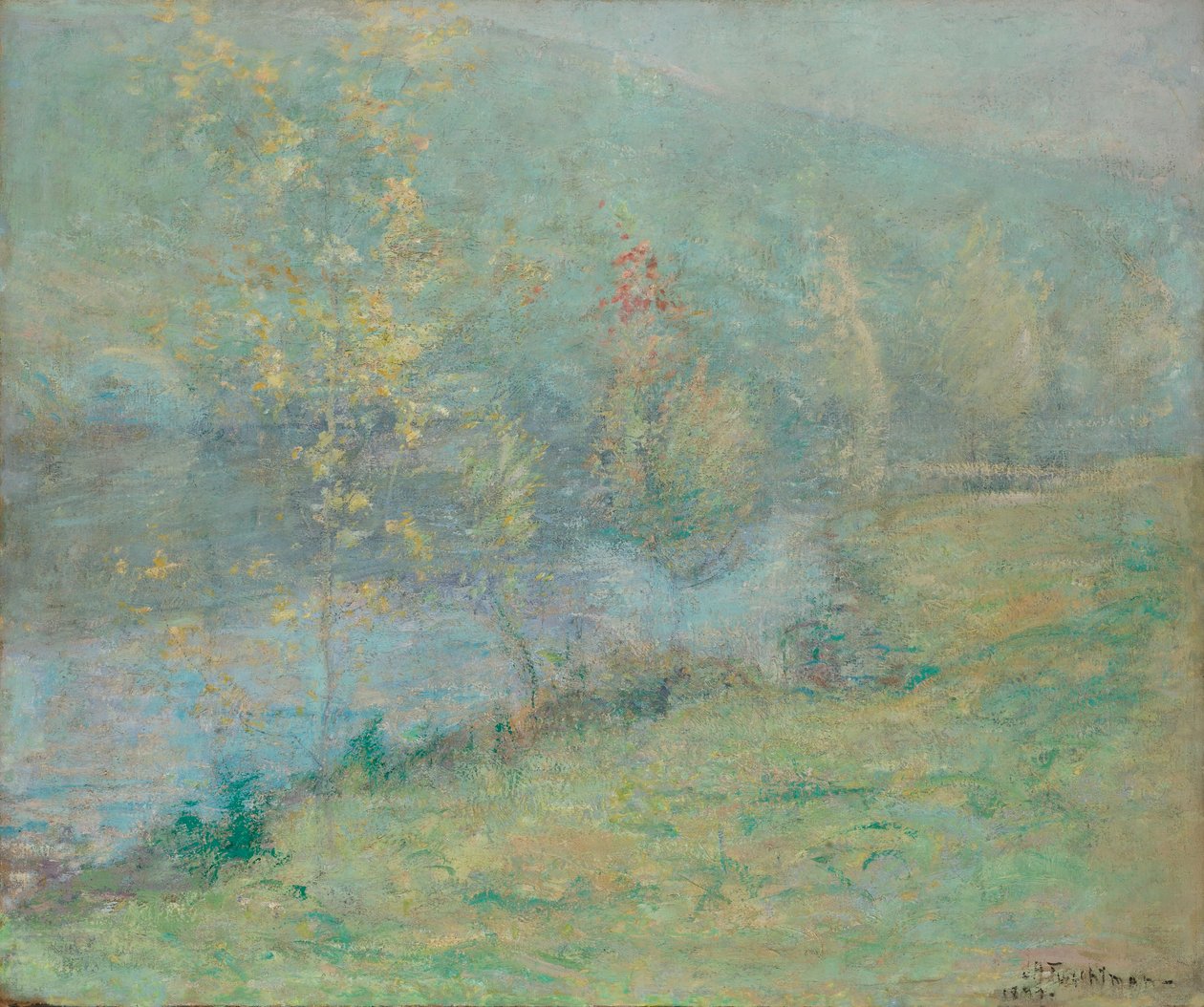 Nebliger Maimorgen von John Henry Twachtman