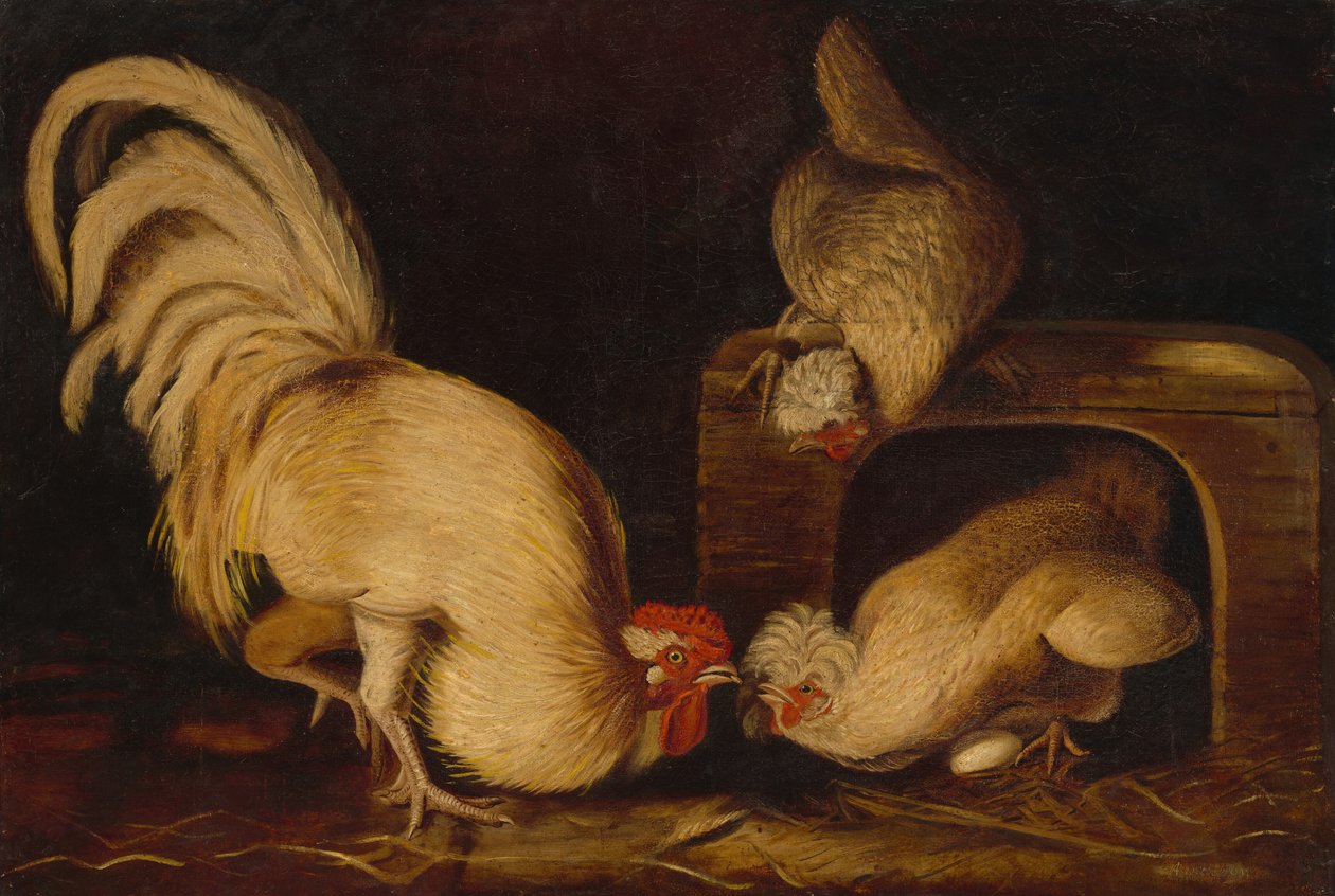Hofgeflügel, ca. 1827 von John James Audubon
