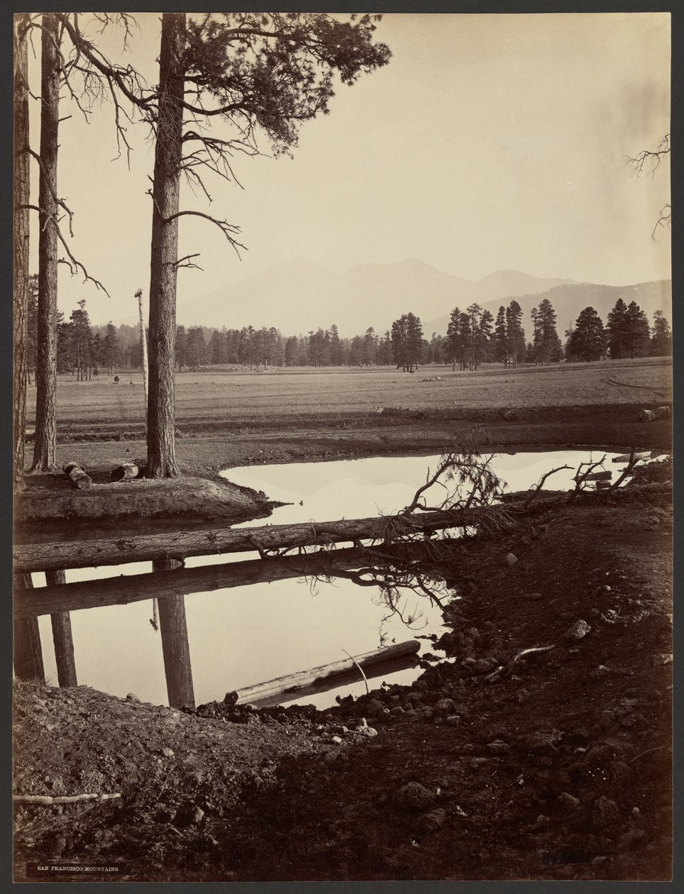 San Francisco Mountains, Arizona von John K. Hillers