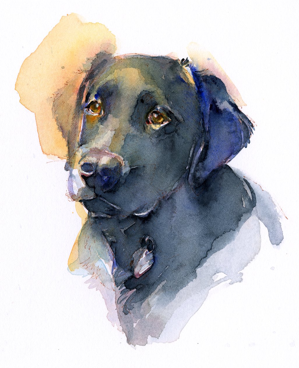 Schwarzer Labrador von John Keeling