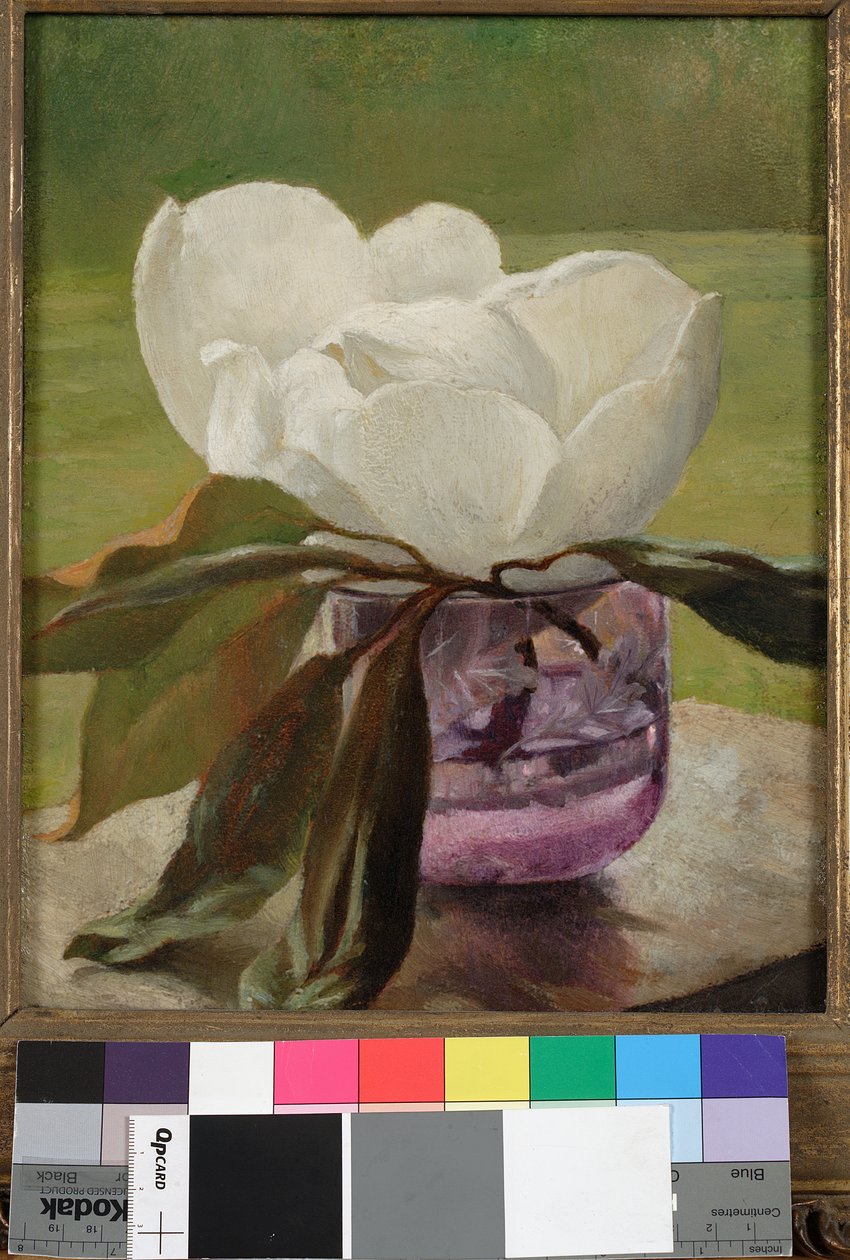 Magnolienblüte von John La Farge or Lafarge