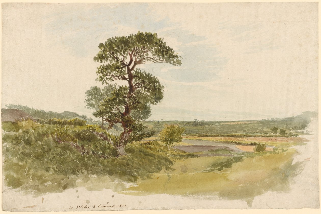 Eine Landschaft in Snowdonia mit einem Baum im Vordergrund von John Linnell