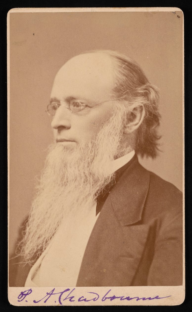 Porträt von Paul Ansel Chadbourne 1823-1883, zwischen 1872 und 1875 von John Lyman Lovell