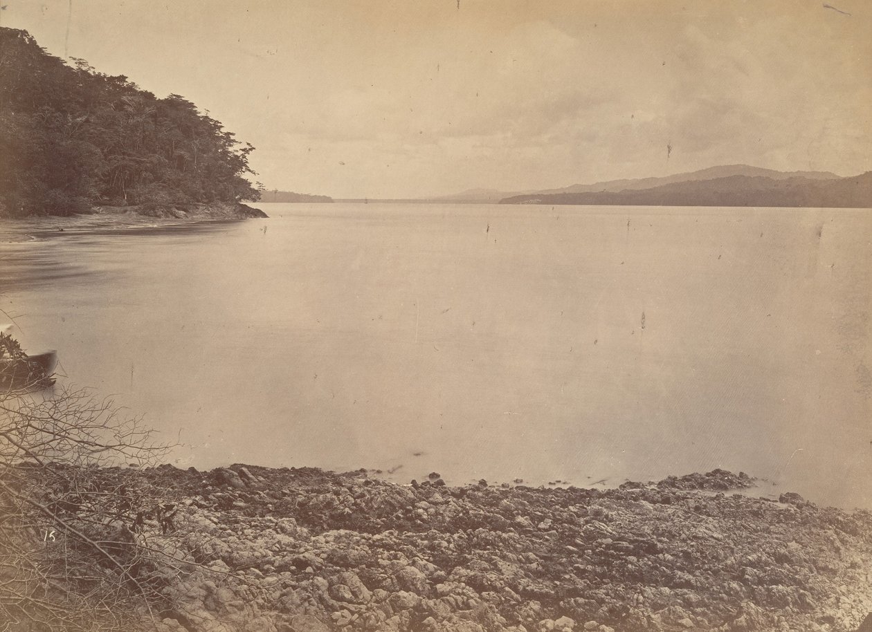 Tropische Landschaft, Darien Hafen - Blick nach Süden, 1871 von John Moran